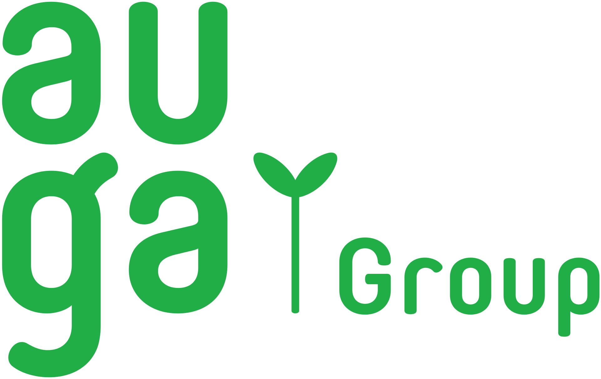 Auga Group